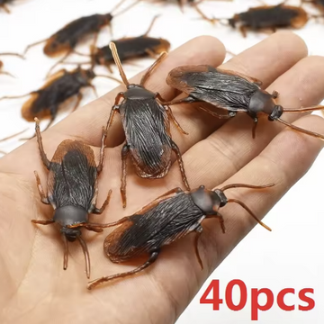 KLAMME KAKERLAKKER 40 stk